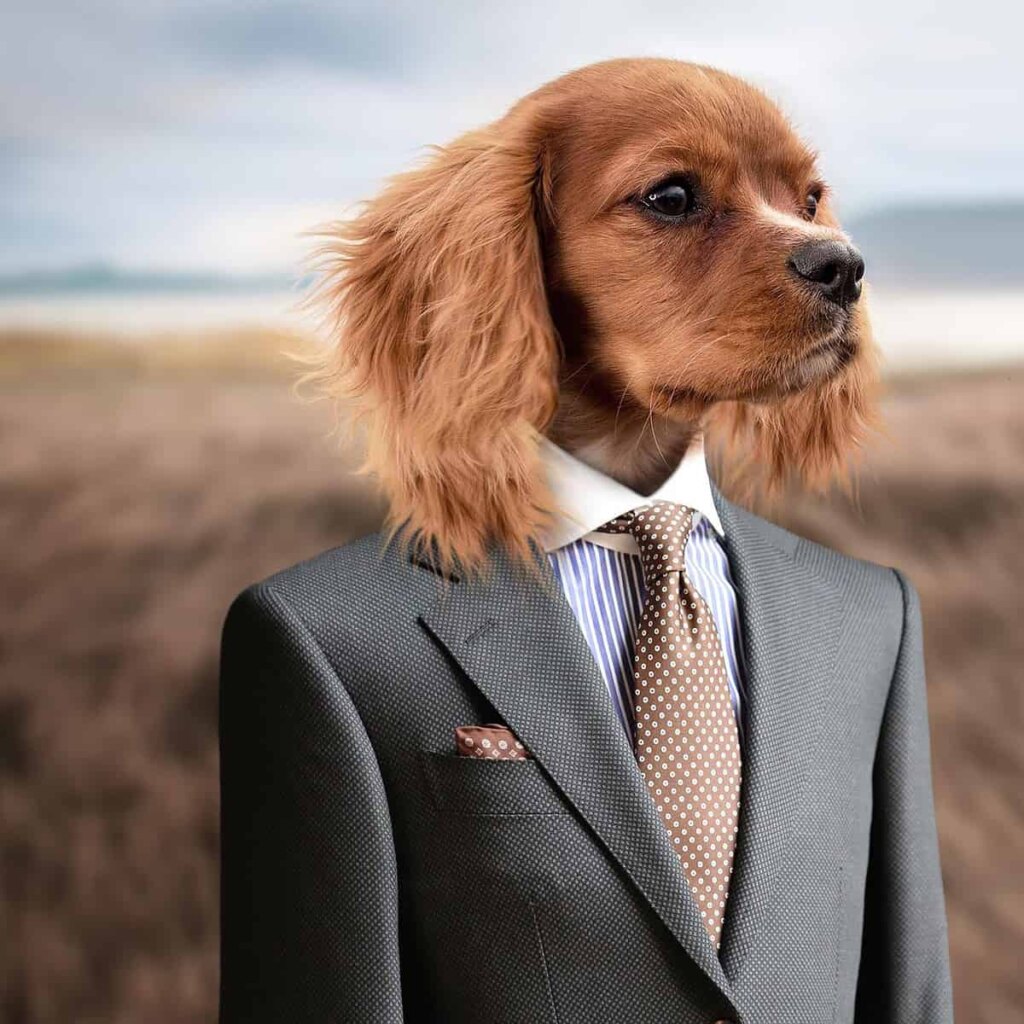 The-Superhero-Projekt_Superhero-image_Lindsey-Hughson_Executive-Mentor_Overcoming-Imposter-Syndrome-in-Business