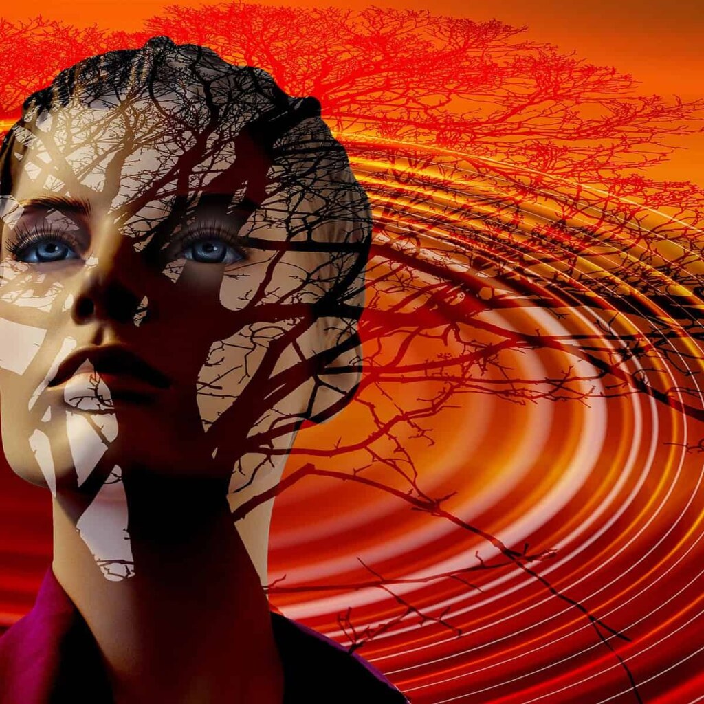 How to Deal with Borderline Personality Disorder 3 How to Deal with Borderline Personality Disorder