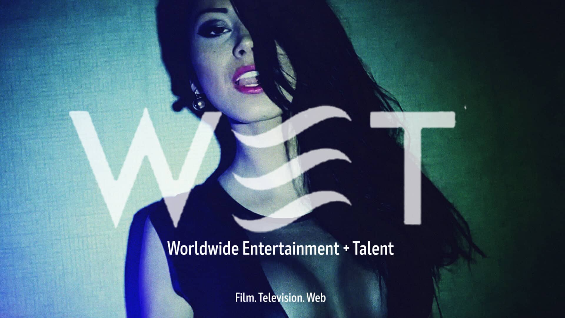 WET Partners Brand ID